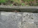 image of grave number 800848